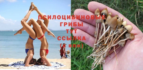 синтетический гашиш Корсаков